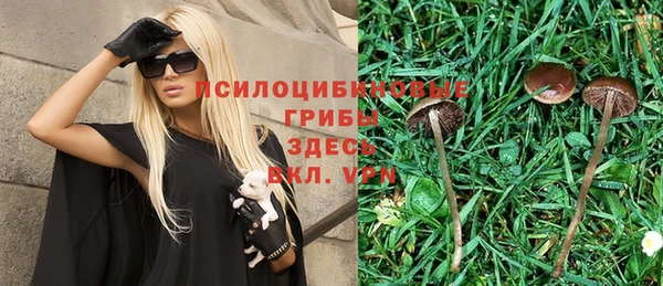 крисы Верхний Тагил