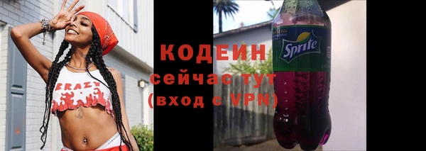 крисы Верхний Тагил