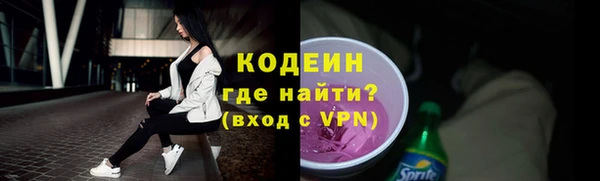 крисы Верхний Тагил
