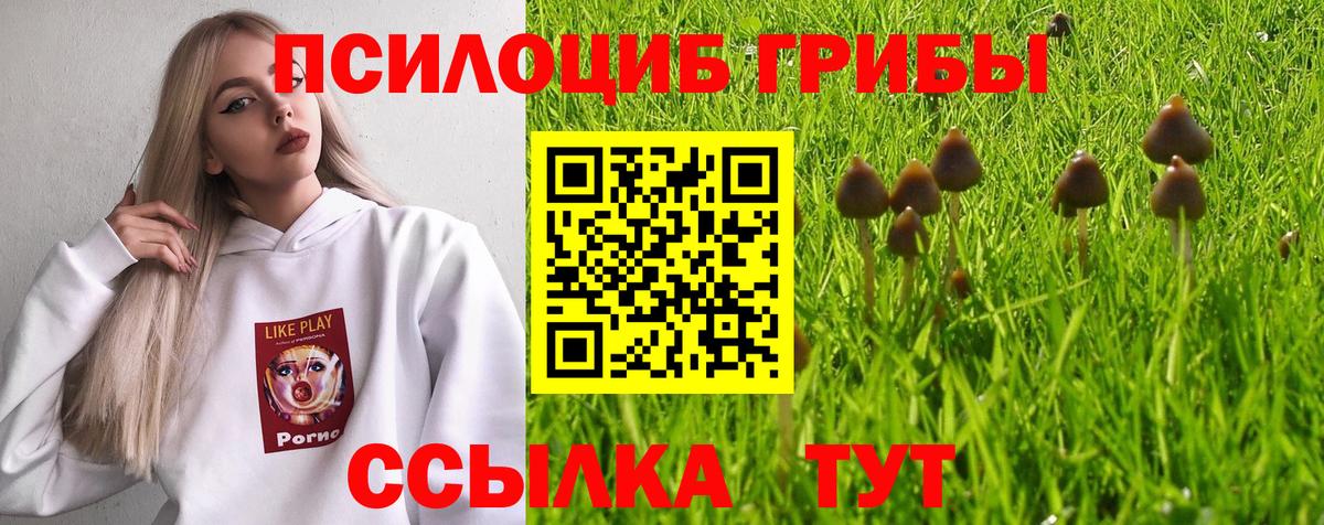 Галлюциногенные грибы MAGIC MUSHROOMS  Псилоцибиновые грибы мицелий  Воркута  Вход с VPN 