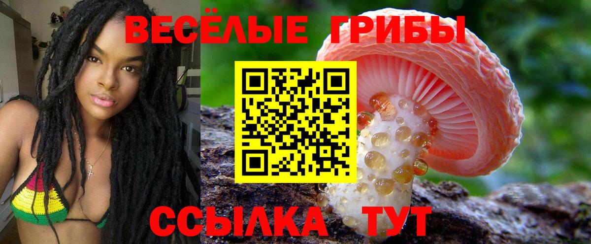 Псилоцибиновые грибы Psilocybe Воркута